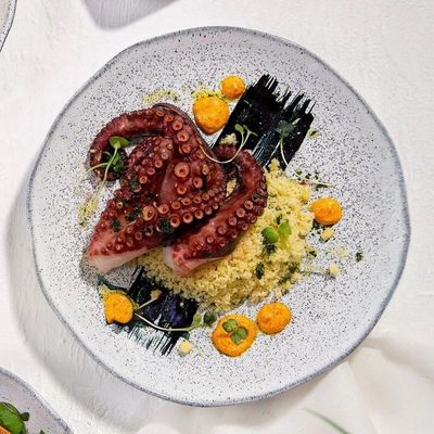 Aparelho De Jantar 30 Peças Orgânico Echo Porto Brasil