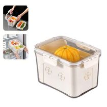 Caixa Organizador Com Tampa Geladeiras, Frutas, Legumes E Carnes