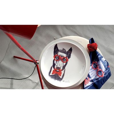 Prato De Porcelana Cachorro Dog Bowie - Red&blue Ronn Kools - 24 Cm