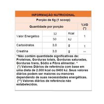 Creatina Atp (300g) - Padrão: único