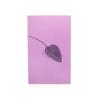 Caixa Livro Para Ornamentação Lavanda 27X17X5Cm