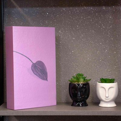 Caixa Livro Para Ornamentação Lavanda 27X17X5Cm