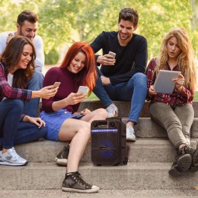Caixa Multiuso Portátil Bluetooth Microsd Usb Fm 80W