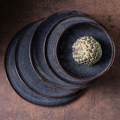 Aparelho De Jantar 20 Peças Bio Titanium Porto Brasil