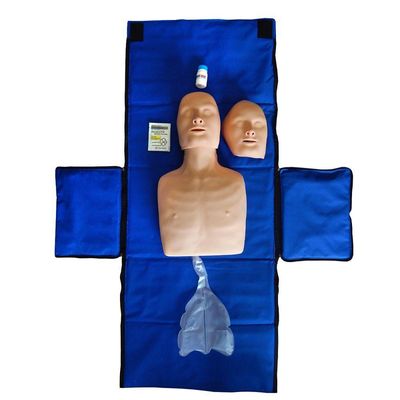 Simulador para Treino de Rcp Adulto e Infantil Anatomic