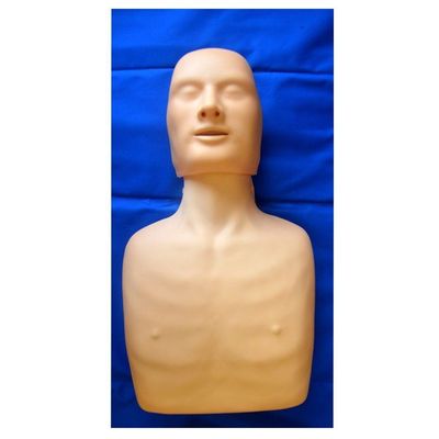 Simulador para Treino de Rcp Adulto e Infantil Anatomic
