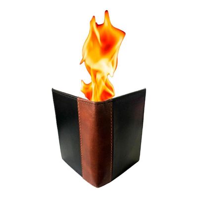 Instant Fire Wallet 2.0 By Andrew E Magic Up