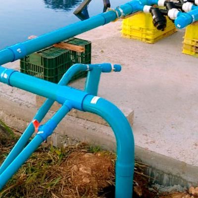 Te 100mm X 50mm Reduzido Azul Soldavel Irrigação Amanco