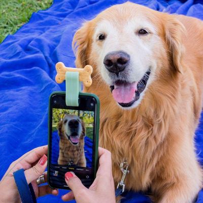 Acessório De Selfie Para Pet Verde Oikos Animal