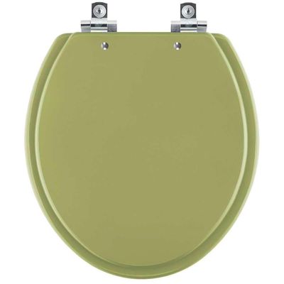 Assento Sanitário Soft Close Convencional Oval Verde Itapoa Para Vaso Celite