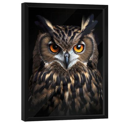 Quadro Decorativo Coruja No Preto
