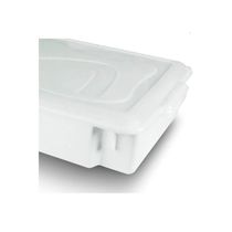 Caixa Organizadora 11,5 L C/ Tampa