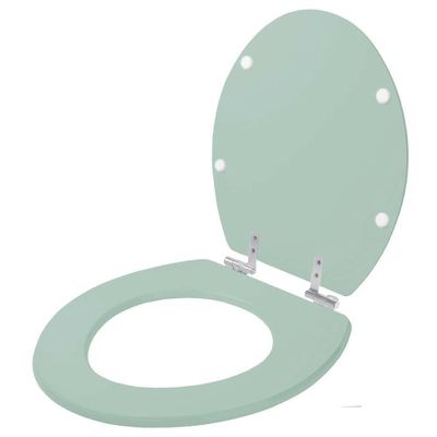 Assento Sanitário Com Amortecedor Convencional Oval Verde Claro Para Vaso Icasa