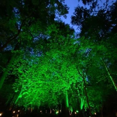 Kit 6 Refletor Holofote Taschibra Led Tr Slim 20w Verde Prova Da água Ip65 Branco Bivolt