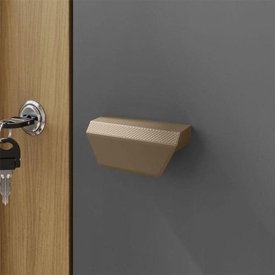 Armário Multiuso Versatile 2 Portas Com Chave Carvalho Americano Grafite - Incorplac