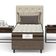 Conjunto Box Solteiro Mola Prodormir Max Sport
