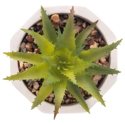 Cachepot De Cimento Com Suculenta 7,5x9,5cm Wolff Geométrico Decoração Artificial