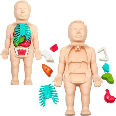 Kit Brinquedo Médico Infantil Anatomia Do Corpo Boneco 25pçs