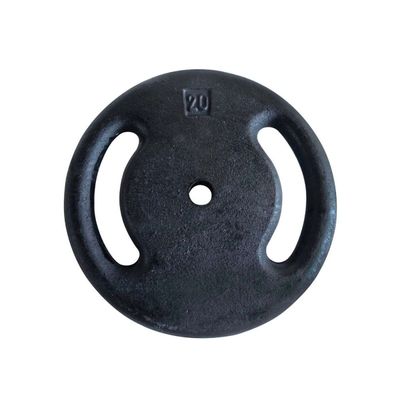 Anilha Ferro Fundido Pintado Profissional De 20,0 Kg