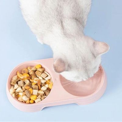 Comedouro Bebedouro Duplo 2 Em 1 Para Pets Cães E Gatos 200 Ml Em Cada Lado Verde