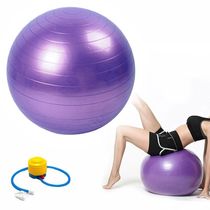 Bola Pilates Suiça Yoga Ginástica Fisioterapia Abdominal 55cm Roxo