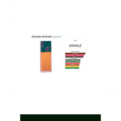Perfume Animale Eau De Parfum Perfume Feminino 100ml