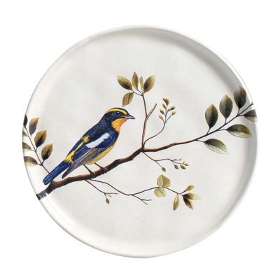 Conjunto De Pratos De Sobremesa 06 Peças Bio Birdy Porto Brasil
