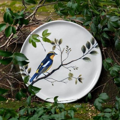 Conjunto De Pratos De Sobremesa 06 Peças Bio Birdy Porto Brasil