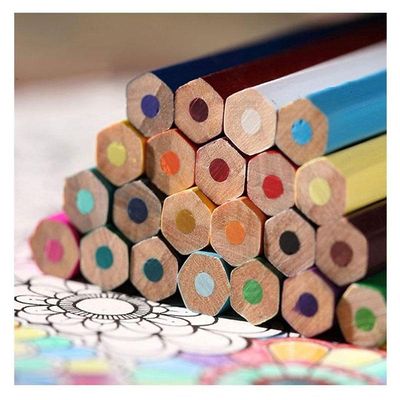Lápis De Cor Ecolápis 120148g 48 Cores - Faber Castell