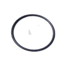 Oring Carcaca Bomba Agua Iamaha 30 Hp Yamara