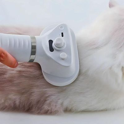 Secador 2 Em 1 Elétrico Removedor De Pelos Para Pets 110v