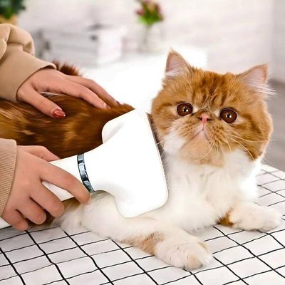 Secador 2 Em 1 Elétrico Removedor De Pelos Para Pets 110v