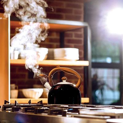 Chaleira Wood Em Inox 2,5 Litros Com Apito Mor Preto