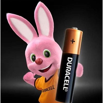 Pilha Alcalina Aaa - C/ 2 Unidades - Duracell