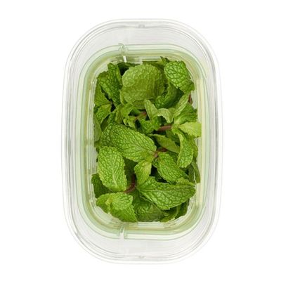 Pote Retangular Greensaver Para Ervas 1,8 Litros Oxo