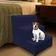 Escada Escadinha Pet Cachorro 3 Degraus Rampa Suede Grace Azul Marinho