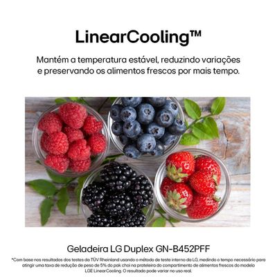 Geladeira LG Frost Free GN-B372PFM Duplex com Tecnologia Smart Inverter, Linear Cooling e Multi Air Flow Inox Look - 375 litros Inox / 110