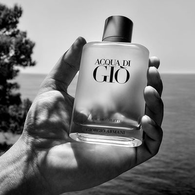 Giorgio Armani Acqua Di Gio Edt - Perfume Masculino 50ml