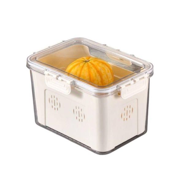 Caixa Organizador Tampa Hermética Com Travas 23,5x14x16,5cm