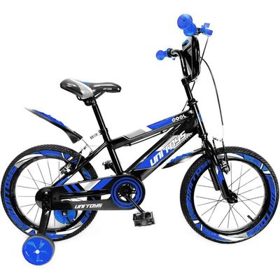 Bicicleta Infantil Pro Aventura Aro 16 Com Rodinhas - Azul