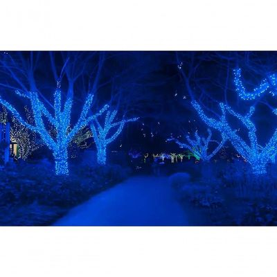 Pisca Varal Cordão Decorativo Com Leds Azul Redondo 100m