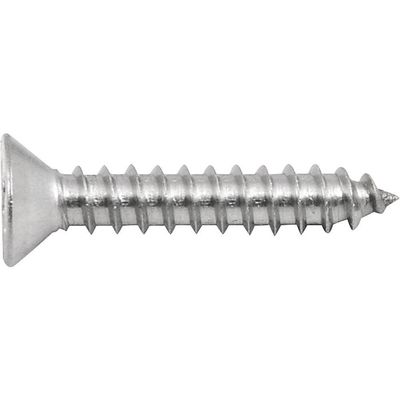 Parafuso Tarraxante Inox 3,5x19,0mm Phillips 10 Pçs Vonder