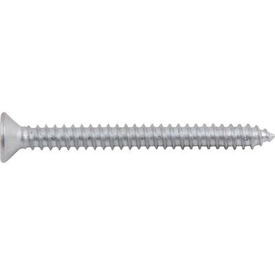 Parafuso Autoatarraxante 4,8x50,0mm Phillips 10 Peças Vonder