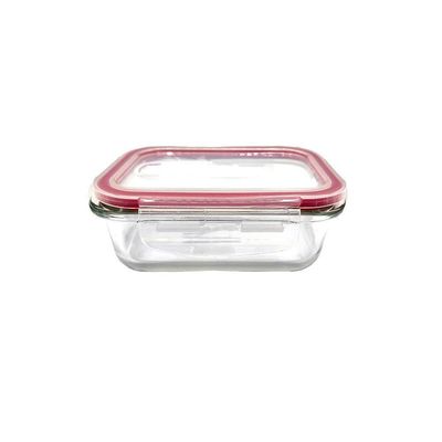 Bolsa Térmica Floral Com 2 Potes De Vidro Herméticos Marmita Azul