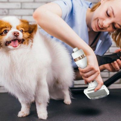 Escova Secadora De Pelos Para Pet Cachorro Gat