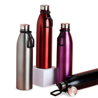 Garrafa De Inox Fosca Com Alça Academia Passeio Roxo