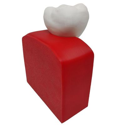 Implante Dental Análise Modelo Dentário Dente 3d Anatomia