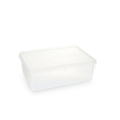 Caixa Plástica Organizadora Empilhável E Hermética Com Tampa 3,5l Plasvale - Transparente