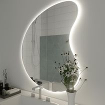 Espelho 65x47 Com Led Claro Organico Forma Irregular Com Fonte Bivolt Branca