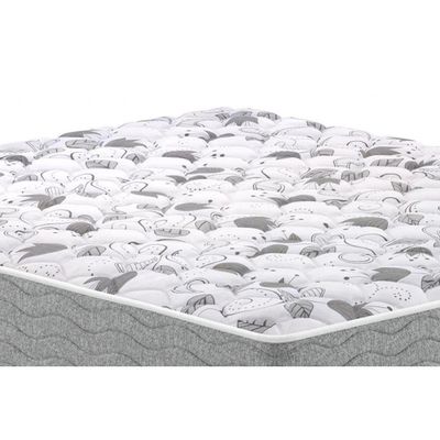 Colchão Solteiro Anatômico D45 - Guarda Costas Próextreme Double Face (88x188x22) - Probel